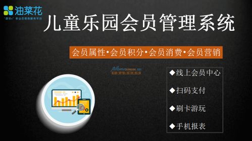 誠薦口碑優異的游樂場會員管理系統與信息技術咨詢服務